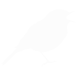 birder